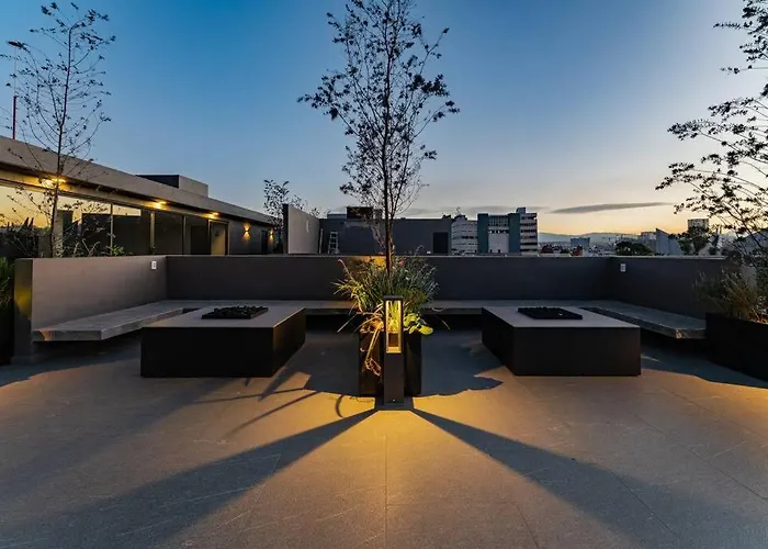 Bauhaus Concept: New Building With Roof & Gym México DF
